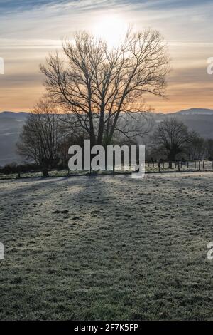 Sonnenaufgang über dem Jakobsweg Stockfoto