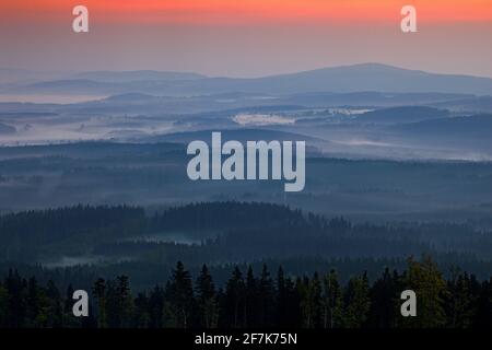 Riesengebirge, Wald im Wind, neblige Landschaft mit Nebel und Wolken, Bergkiefern, Tschechien, Mitteleuropa. Stockfoto
