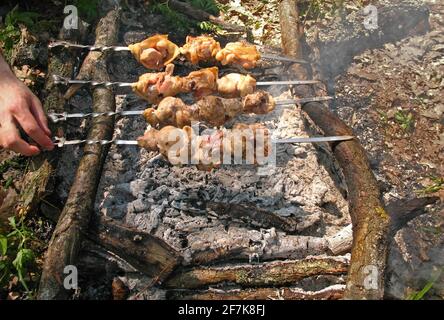 Kochen von gegrilltem Fleisch auf Spieße am Feuer in der Frühlingswald Stockfoto