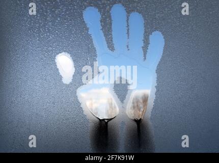 Eine mit Eis bedeckte Palmmarkierung auf dem Glas. Das Fenster ist mit Frost bedeckt und eine Spur von der Handfläche. Von Hand auf bedeckt mit nachzeichnen Stockfoto