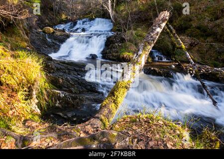 Das Allt na Bodachan oberhalb der Plodda-Fälle bei Tomich im schottischen Hochland. Stockfoto