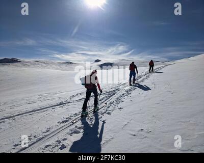 Wandern auf Skiern auf den großen schweizer Bergen. Fantastische Aussicht im Winter. Ski-Touring-Paar. Skitourenpfad Stockfoto