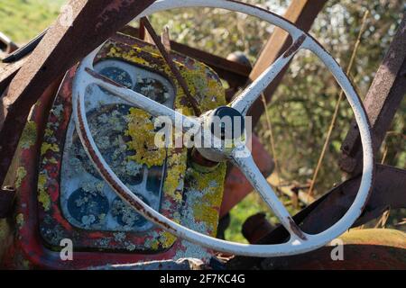 Vintage, Massey Ferguson, Traktor, vintage Traktoren, landwirtschaftlich, Markentraktor, Außendienst, Viehzucht, Arbeitstier, Marktführer, Rot. Stockfoto