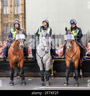 Bei einem Protest in Westminster, London, England, bestieg die Polizei von Metropolitain Zweigbeamte in Bereitschaftstrikot auf Pferde Stockfoto