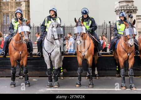 Bei einem Protest in Westminster, London, England, bestieg die Polizei von Metropolitain Zweigbeamte in Bereitschaftstrikot auf Pferde Stockfoto