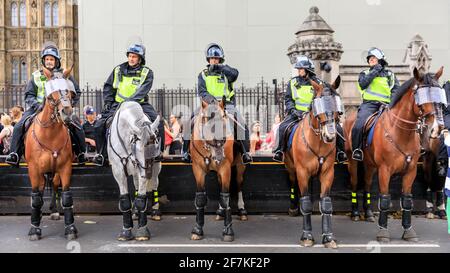 Bei einem Protest in Westminster, London, England, bestieg die Polizei von Metropolitain Zweigbeamte in Bereitschaftstrikot auf Pferde Stockfoto