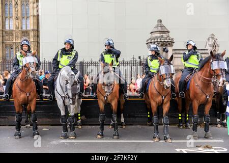 Bei einem Protest in Westminster, London, England, bestieg die Polizei von Metropolitain Zweigbeamte in Bereitschaftstrikot auf Pferde Stockfoto