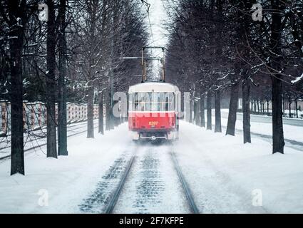 Rote Oldtimer-Straßenbahn, die während der Fahrt durch den Korridor karger Bäume fährt Winter Stockfoto