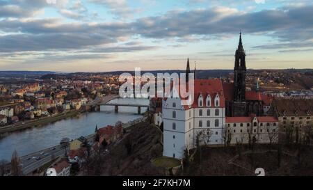 Crocusses im Frühjahr in München Bayern Stockfoto