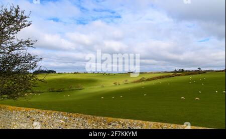 Ein Blick auf die South Downs in der Nähe von Crowlink, East Sussex Stockfoto