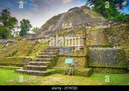 High Temple (der höchste Tempel in Lamanai), Ancien tMaya Ruinen, Lamanai, Belize Stockfoto