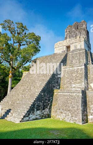 Maskentempel, El Peten, Grand Plaza, Tikal Nationalpark, Guatemala Stockfoto