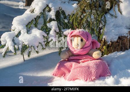 Ein Stofftier-Teddybär mit Schal und Hut sitzt an einem sonnigen Tag im Winterwald auf Schnee. Stockfoto