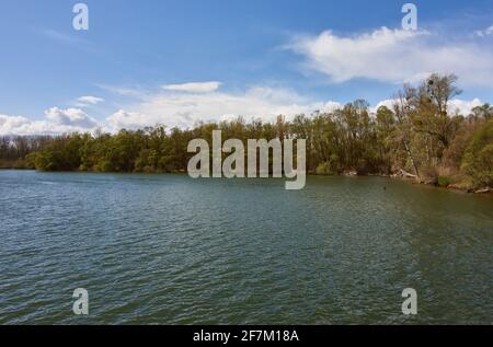 See umgeben von Bäumen in den Rheinauen Feuchtgebieten, Aue in Plittersdorf, Deutschland. Stockfoto