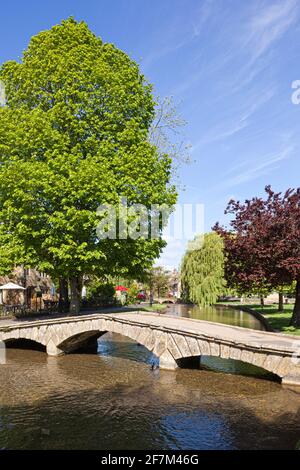 Eine der Brücken über den Fluss Windrush im Cotswold-Dorf Bourton on the Water, Gloucestershire, Großbritannien Stockfoto