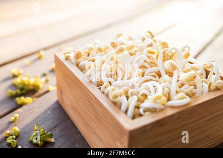 Mungbohnensprossen auf Holztablett Stockfoto