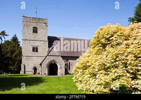 Die Kirche der Heiligen Jungfrau Maria im Dorf Eardisland, Herefordshire, Großbritannien Stockfoto