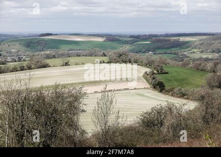 Butser Hill, Petersfield. April 2021. Heute sind es sonnige Intervalle im Süden Englands. Der Blick vom Gipfel des Butser Hill in Petersfield in Hampshire. Kredit: james jagger/Alamy Live Nachrichten Stockfoto