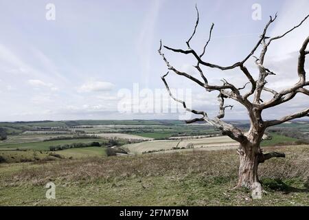 Butser Hill, Petersfield. April 2021. Heute sind es sonnige Intervalle im Süden Englands. Der Blick vom Gipfel des Butser Hill in Petersfield in Hampshire. Kredit: james jagger/Alamy Live Nachrichten Stockfoto