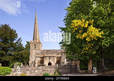 Ein Laburnum-Baum in voller Blüte am Eingangstor zur Kirche St. Michael und All Angels im Dorf Stanton, Gloucestershire, Großbritannien Stockfoto