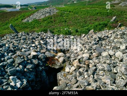 Coille na Borgie Neolithische Kammergräber, Sutherland, Schottland, Großbritannien: Blick N von zwei gehörnten langen cairns auf einer Moorterrasse über dem Fluss Navar. Stockfoto