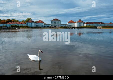 Schwan im Teich bei Schloss Nymphenburg. München, Bayern, Deutschland Stockfoto