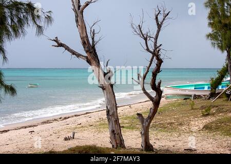 Ein Fischerboot am Strand und am farbenfrohen Indischen Ozean, Rodrigues Island, Mauritius, Bildpostkartenszene Stockfoto