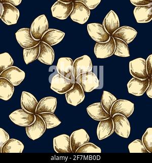 Nahtloses Muster mit handgezeichneter farbiger Plumeria Stock Vektor