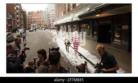 Vater Weihnachten und sein Seesel Dino posieren für Fotos vor einem schneebedeckten Harrods, bevor sie die Gäste am 9. August 2005 in London, England, im dritten Stock des Knightsbridge Stores auf eine Tour durch die Weihnachtswelt nehmen. Über 15.000ft qm Fläche sind Weihnachten im gesamten Geschäft gewidmet. Mit einer künstlichen Schneemaschine, die gegen die Sommerwärme kämpft, kommen Pater Christmas und sein Seesel Dino vor einem schneebedeckten Eingang nach Harrods zum Start von Christmas World im Knightsbridge Store in London an. Bild David Sandison 9/8/2005 Stockfoto