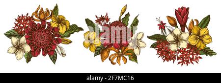 Blumenstrauß von farbigen Plumeria, allamanda, clerodendrum, champak, etlingera, ixora Stock Vektor