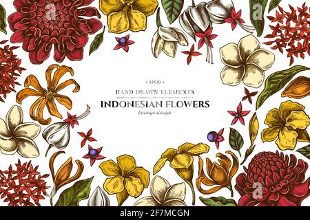 Blumenmuster mit farbigen Plumeria, allamanda, clerodendrum, Champak, etlingera, ixora Stock Vektor