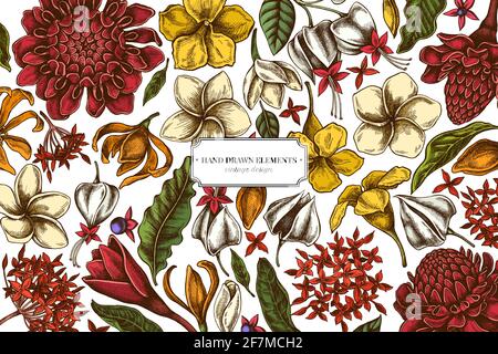 Blumenmuster mit farbigen Plumeria, allamanda, clerodendrum, Champak, etlingera, ixora Stock Vektor