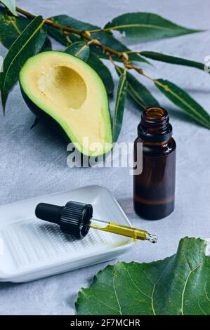 Gesundes selbstgemachtes Avocado-Öl in Glasflasche mit grünen Blättern Auf blauem Hintergrund Stockfoto