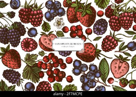 Farbige Elemente Design mit Erdbeere, Heidelbeere, rote Johannisbeere, Himbeere, Brombeere Stock Vektor
