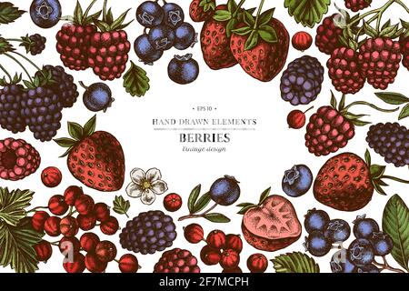 Farbige Elemente Design mit Erdbeere, Heidelbeere, rote Johannisbeere, Himbeere, Brombeere Stock Vektor