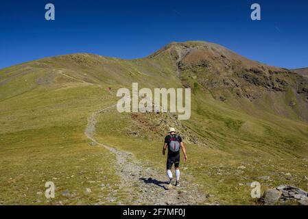 Im Sommer von Fontalba aus zum Gipfel des Puigmal aufsteigen (Ripollès, Katalonien, Spanien, Pyrenäen) ESP: Camino de subida a la cumbre del Puigmal (Pirineos) Stockfoto