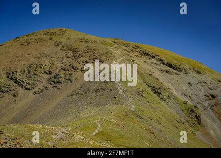 Im Sommer von Fontalba aus zum Gipfel des Puigmal aufsteigen (Ripollès, Katalonien, Spanien, Pyrenäen) ESP: Camino de subida a la cumbre del Puigmal (Pirineos) Stockfoto