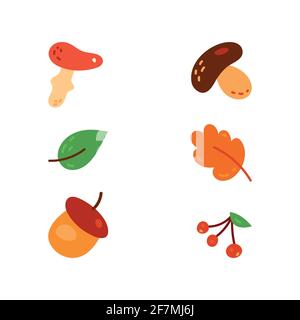 Verschiedene Arten von Pilzen Set, Vektor-Illustration. Stock Vektor