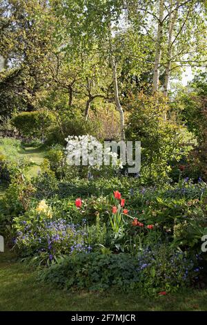 Ein herrlicher, früher Morgen im „Lustgarten“ des alten Orchards Stockfoto