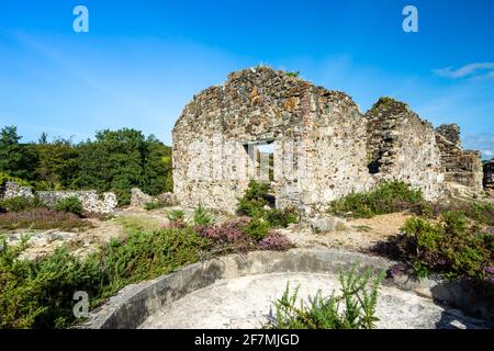 Im Poldice Valley in der Nähe von St Day und befinden sich noch historische Bergbauarbeiten Redruth Cornwall England Großbritannien Europa Stockfoto