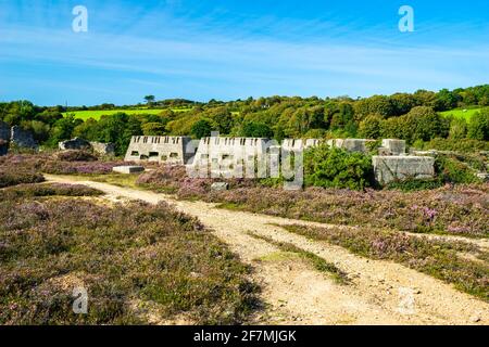 Im Poldice Valley in der Nähe von St Day und befinden sich noch historische Bergbauarbeiten Redruth Cornwall England Großbritannien Europa Stockfoto