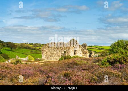 Im Poldice Valley in der Nähe von St Day und befinden sich noch historische Bergbauarbeiten Redruth Cornwall England Großbritannien Europa Stockfoto