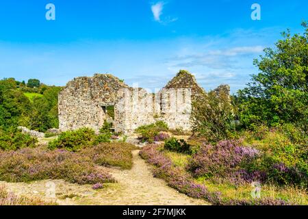 Im Poldice Valley in der Nähe von St Day und befinden sich noch historische Bergbauarbeiten Redruth Cornwall England Großbritannien Europa Stockfoto
