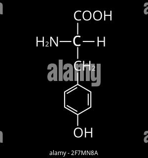 Die Aminosäure Tyrosin. Chemische molekulare Formel von Tyrosin Aminosäure. Vektorgrafik auf isoliertem Hintergrund Stock Vektor