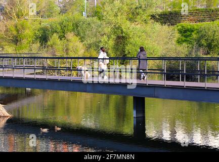 Zwei Frauen und ein Hund gehen auf einer langen Fußgängerbrücke mit Holzbohlen und Metallzäunen über Feuchtgebiete mit Schilf Las Llamas Park Santander Spain Spring Stockfoto