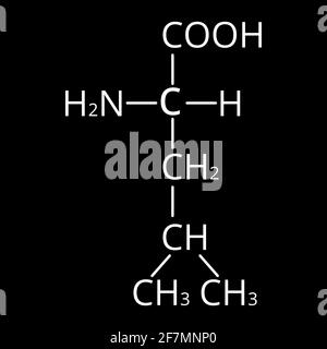 Aminosäure Leucin. Chemische molekulare Formel von Aminosäure Leucin. Vektorgrafik auf isoliertem Hintergrund Stock Vektor