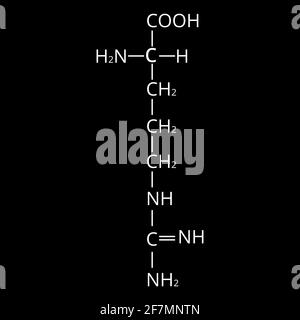 Arginin-Aminosäure. Chemische molekulare Formel Arginin Aminosäure. Vektorgrafik auf isoliertem Hintergrund Stock Vektor