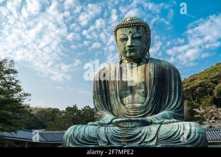 Der große Buddha, Daibutsu, Kotoku-in Buddhistischer Tempel. Große bronzene Amida Buddhismus Statue mit blauem Himmel gefunden in Kamakura, Kanagawa, Japan. Stockfoto