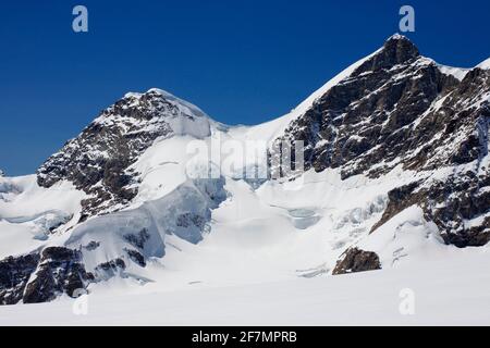 Die Jungfrau und ihr Nachbar, das Rottalhorn, vom Jungfraufirngletscher, mit dem Rottalsattel zwischen: Berner Alpen, Schweiz Stockfoto