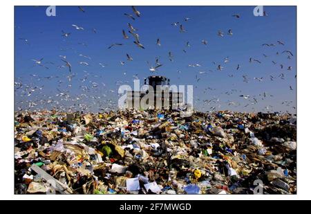 Mülldeponie, im Besitz von Cory Enviromental Waste Management Ltd. In der Nähe von Stanford-le-Hope, Thurrock, Essex.pic David Sandison 21/2/2003 Stockfoto